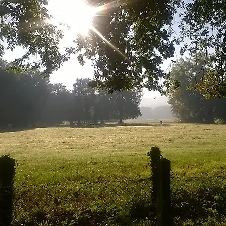 Kamp alanı Le Plein Air Neuvicois Neuvic (Dordogne)